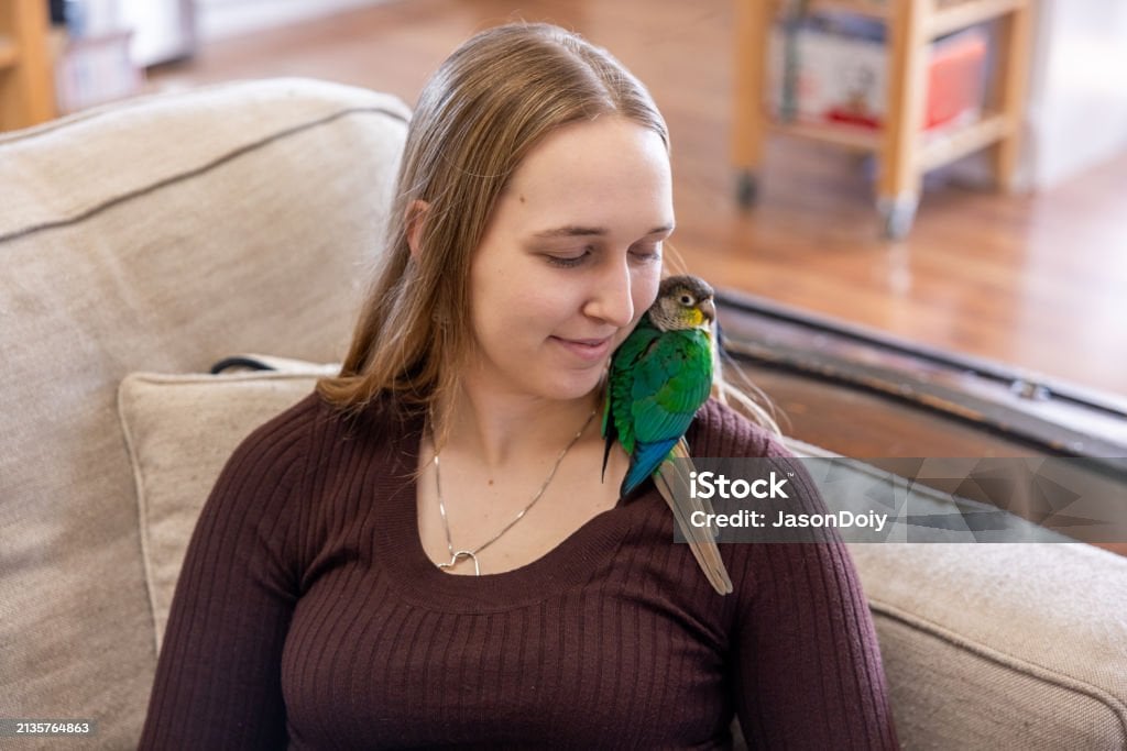 istockphoto-2135764863-1024x1024